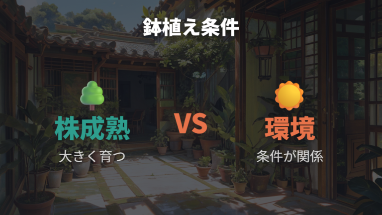 鉢植えで実がなる条件は株の成熟と環境が前提