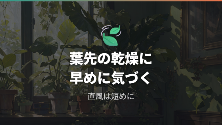 直接風を当てるときの注意点は乾燥サインを見逃さないこと