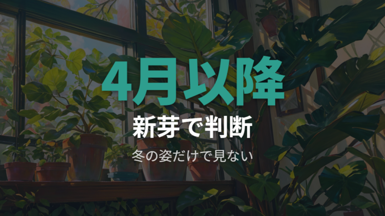 丸坊主から復活する目安は春の新芽で判断する