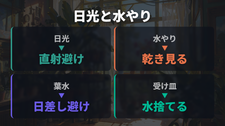 日光と水やりの注意点を並べて確認する