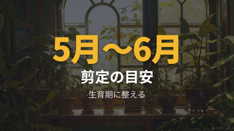 剪定に向いている時期は5月から生育期を目安にする