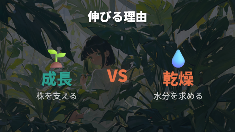 気根が伸びすぎる原因は成長と乾燥のサイン