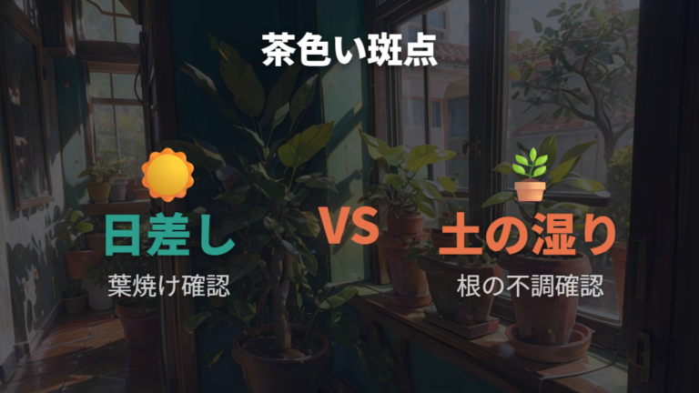 茶色い斑点は葉焼け・根の不調・病害虫で分けて確認する