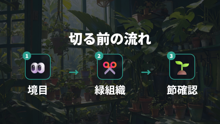 腐った茎は切るべきか復活できる部分を確認する