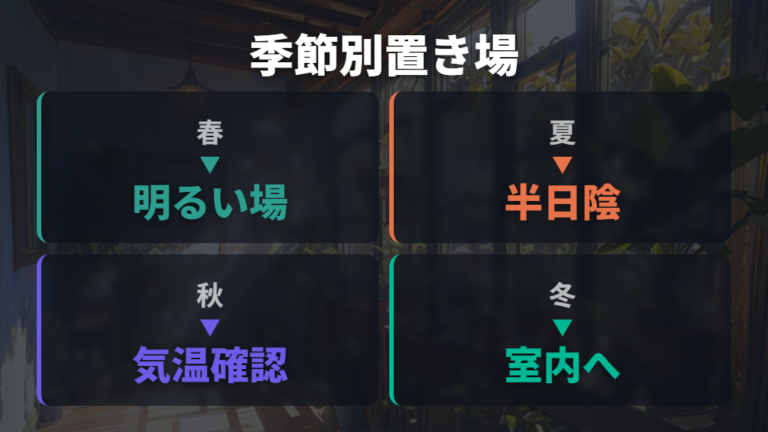 季節別の置き場所は春秋・夏・冬で変える