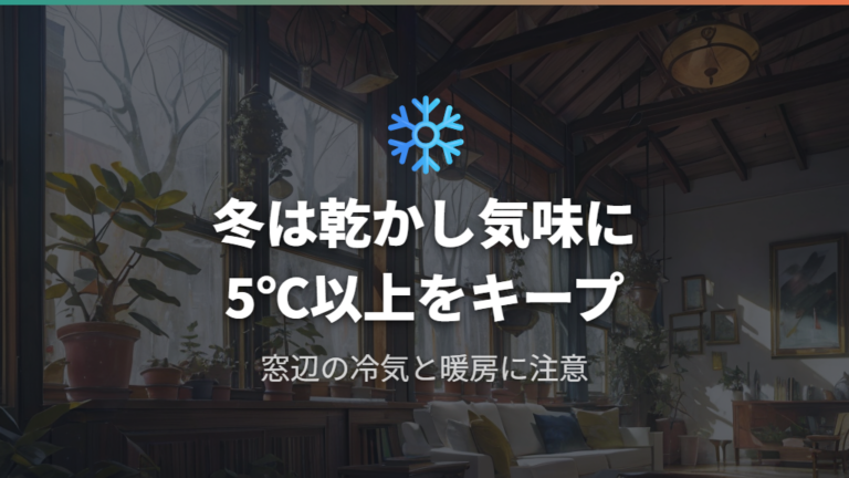 冬越しの温度管理と休眠期の水やり調整