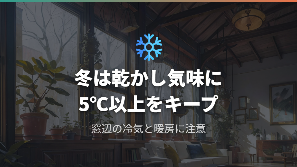 冬越しの温度管理と休眠期の水やり調整