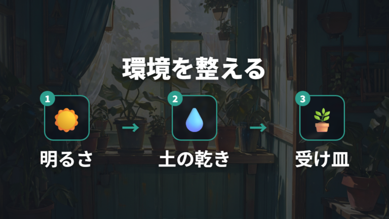 日当たりと水やりの見直しで成長環境を整える