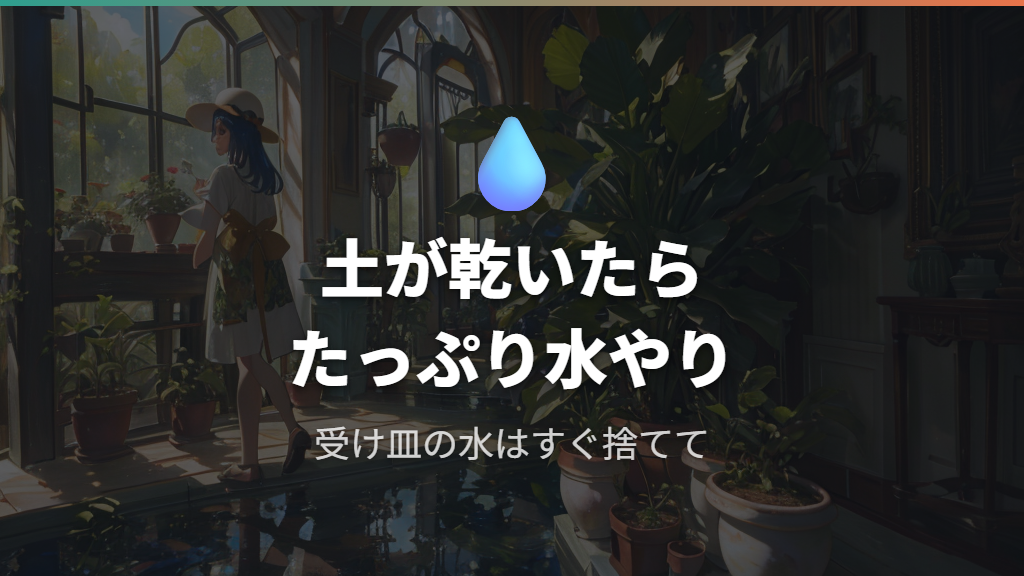 土の乾き具合で決める水やり頻度と受け皿管理の基本