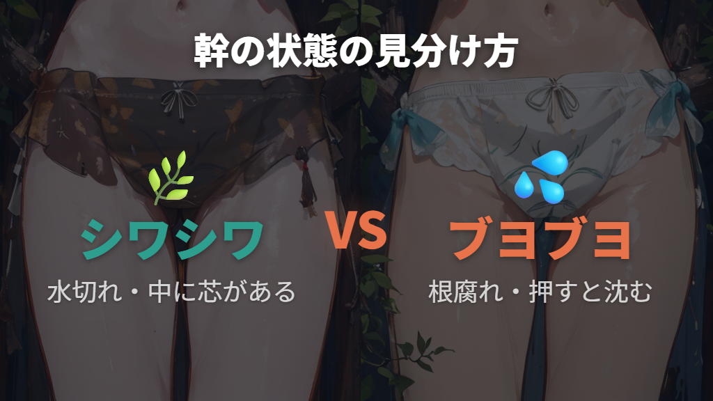 水切れのシワシワとブヨブヨの見分け方