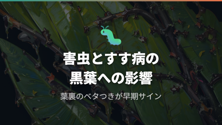 ガジュマルの木に付く害虫とすす病が葉を黒くする仕組み