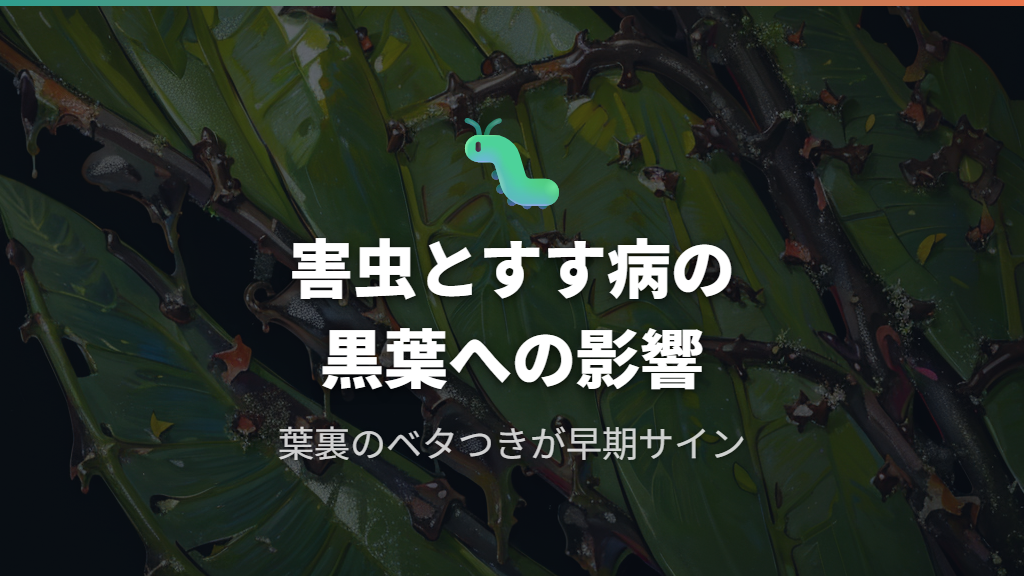 ガジュマルの木に付く害虫とすす病が葉を黒くする仕組み