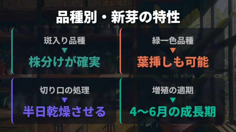 サンスベリアの種類別・新芽の出やすさの違い