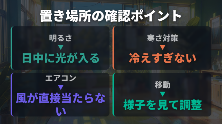 室内で大きく育てる置き場所は明るさと寒さ対策が要点