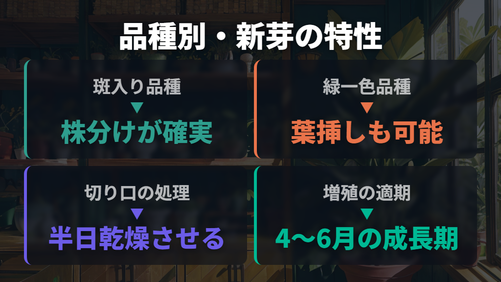 サンスベリアの種類別・新芽の出やすさの違い