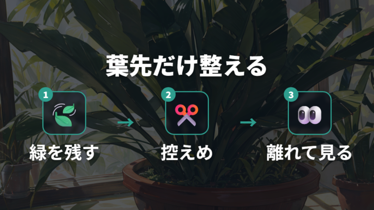 葉先だけ枯れた時の切り方は葉全体を残す