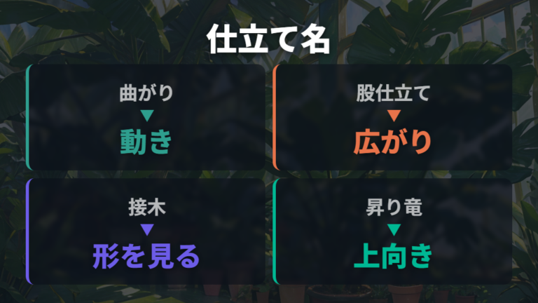 樹形でわかる種類の違いは仕立て名を読む