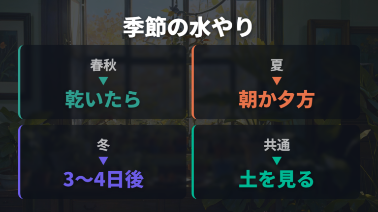 季節で変える水やり頻度を春夏秋冬で比べる