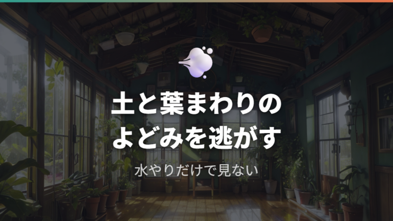 室内で風通しが必要な理由は土と葉の周りがよどみやすいから