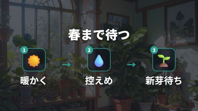春に新芽が出るまでの待ち方は水を控えて暖かく保つ