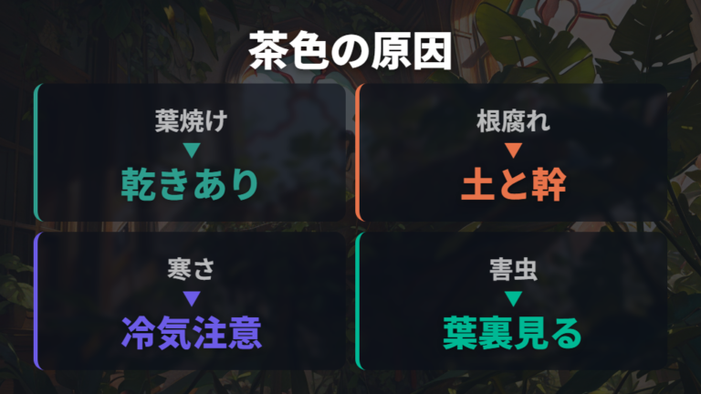葉が茶色くなる別原因は根腐れや寒さも見る