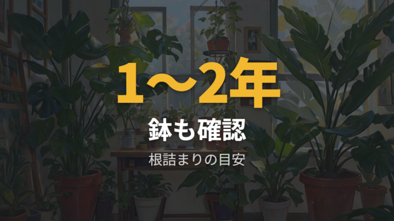 徒長に似た弱々しさを根詰まり・肥料・温度でも確認する