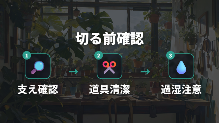 気根を切る前に剪定時に注意するポイント