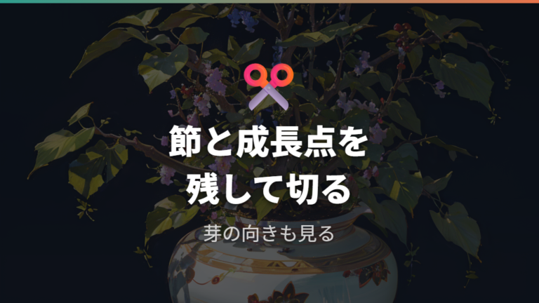 木質化した枝の切る位置は節や芽が出そうな位置を見て決める
