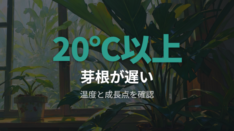 芽や根が出ないときの原因は温度と成長点から疑う