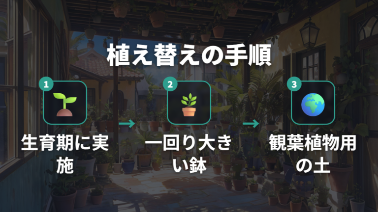 ガジュマル植え替えの適期と用土選びのポイント