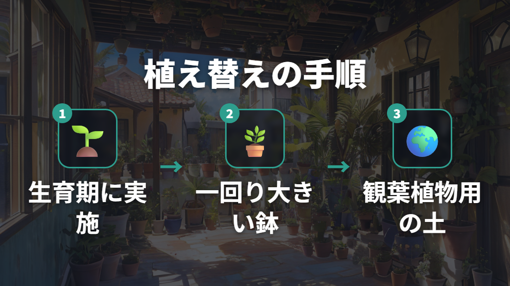 ガジュマル植え替えの適期と用土選びのポイント