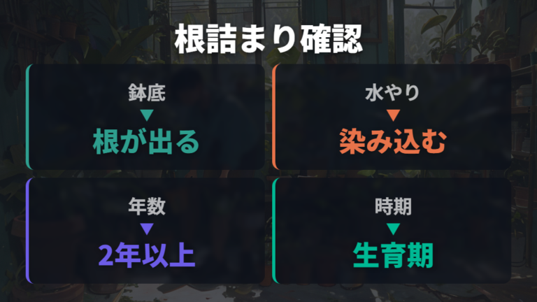 根詰まりと植え替えの目安を症状から確認する