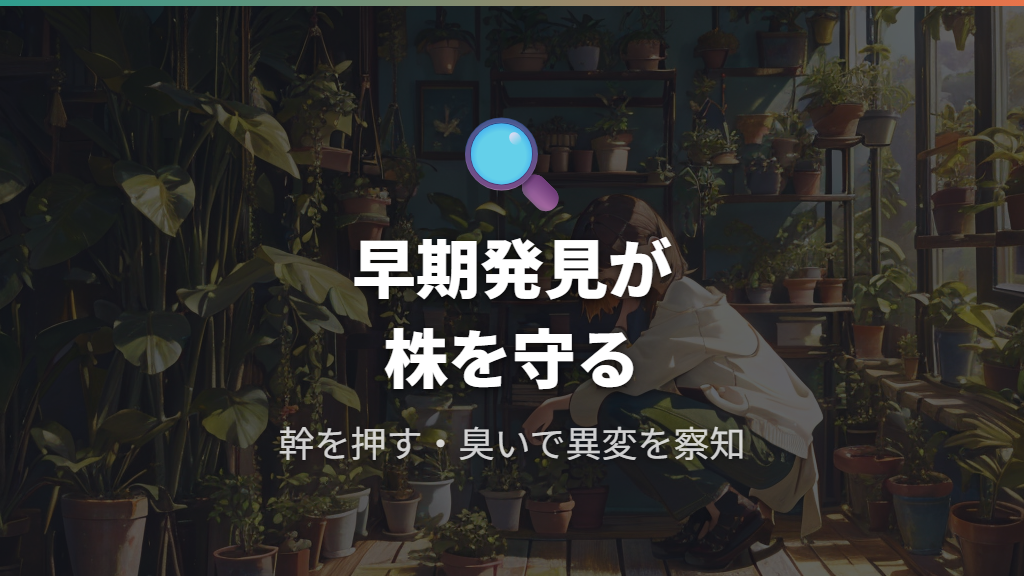 腐敗が進行する前に確認すべきサイン