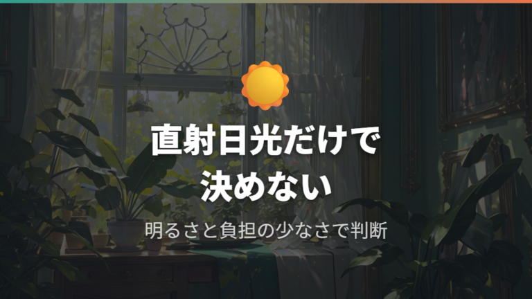 ナギに合う日当たりと環境は直射日光だけで決めない