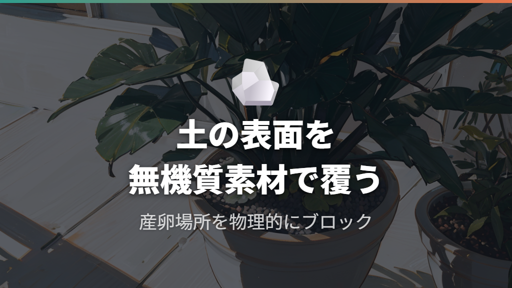 土の表面を無機質化するガジュマルの木の管理術
