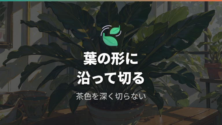 茶色い部分だけ切る方法は形に沿って目立たせない