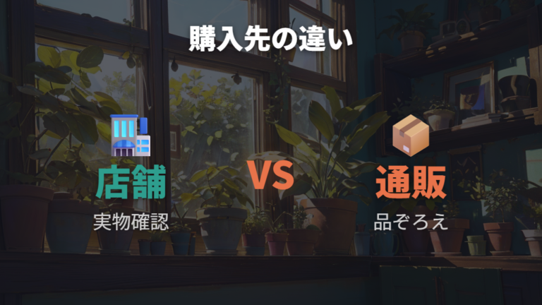 店舗と通販の違いは実物確認と品ぞろえで選ぶ