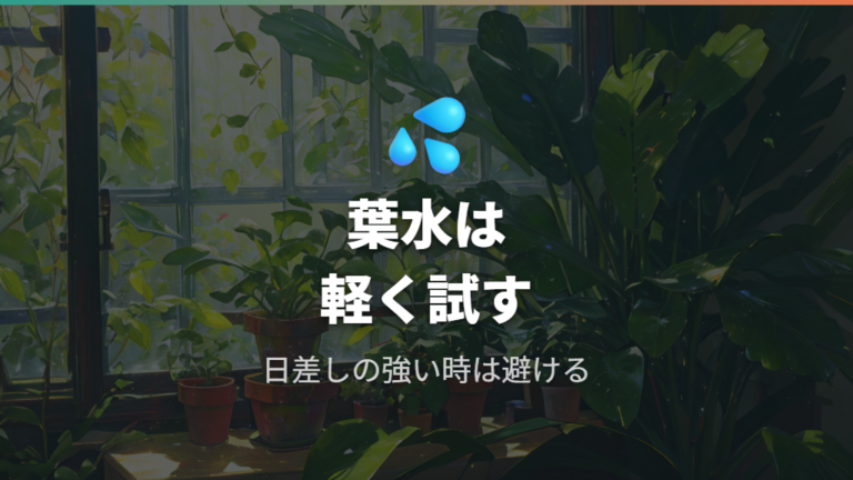 葉水で使う頻度と時間帯を守る