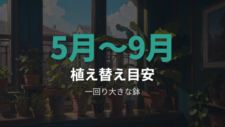 植え替え時期と鉢選びは春~秋の暖かい時期を目安にする