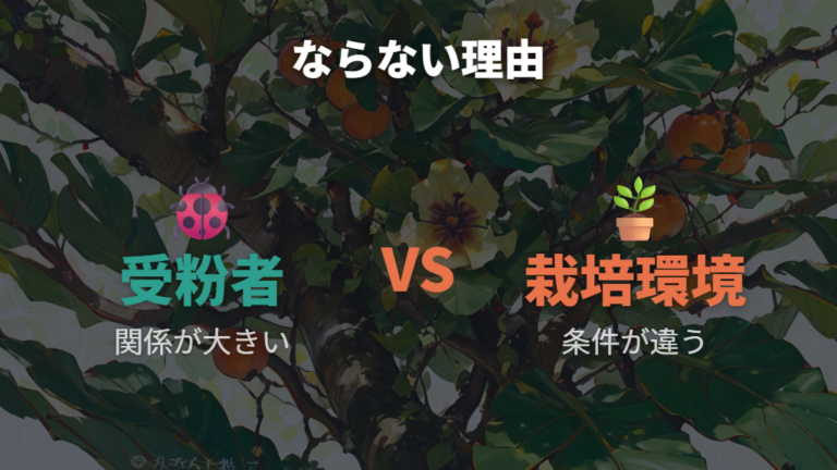 実がならない主な理由は受粉者の不在だけ?