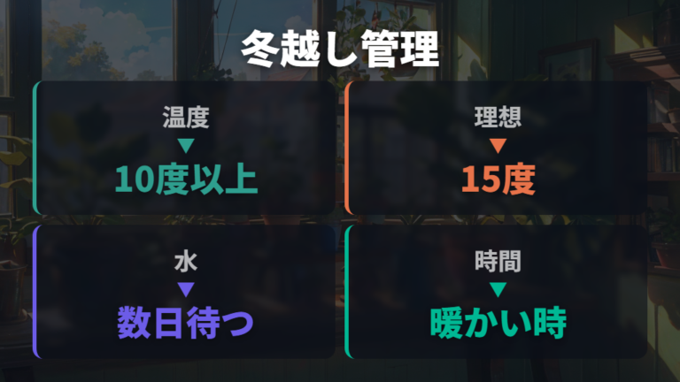 冬越しの水やりと温度管理で根を冷やさない