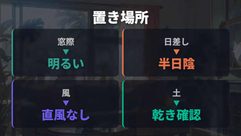 徒長を防ぐ置き場所は明るい窓辺と明るい間接光が基本