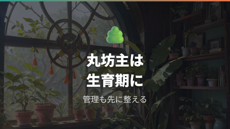 丸坊主で仕立て直すなら生育期に条件をそろえる