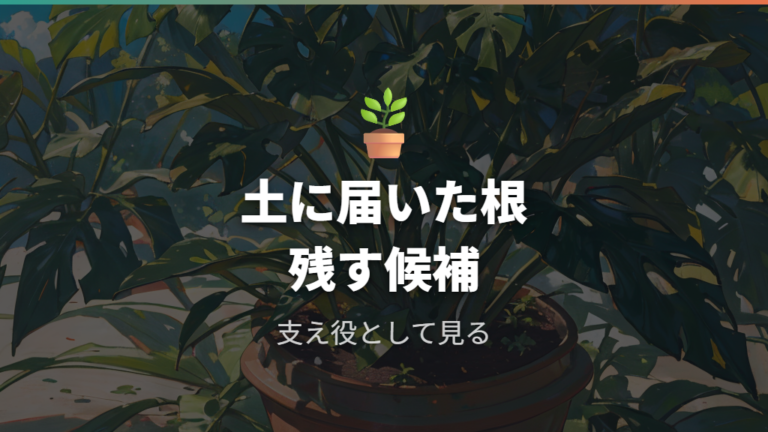土に届いた気根は切らずに残すべき?
