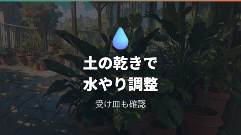 屋外管理の水やりは乾き方を見て調整する