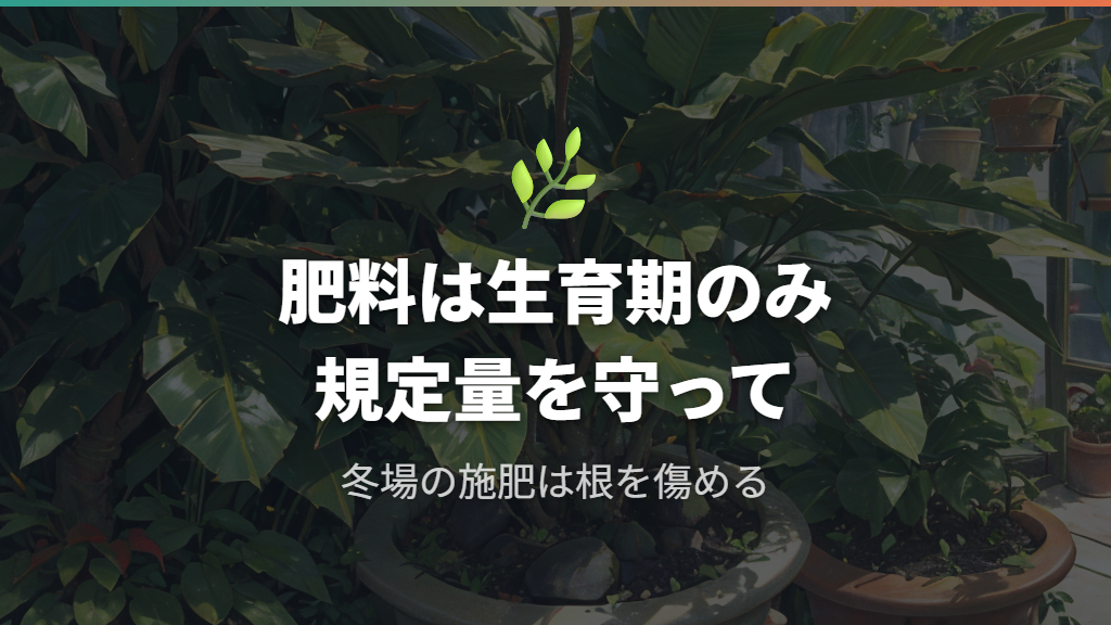 肥料の与え方と規定量遵守の重要性