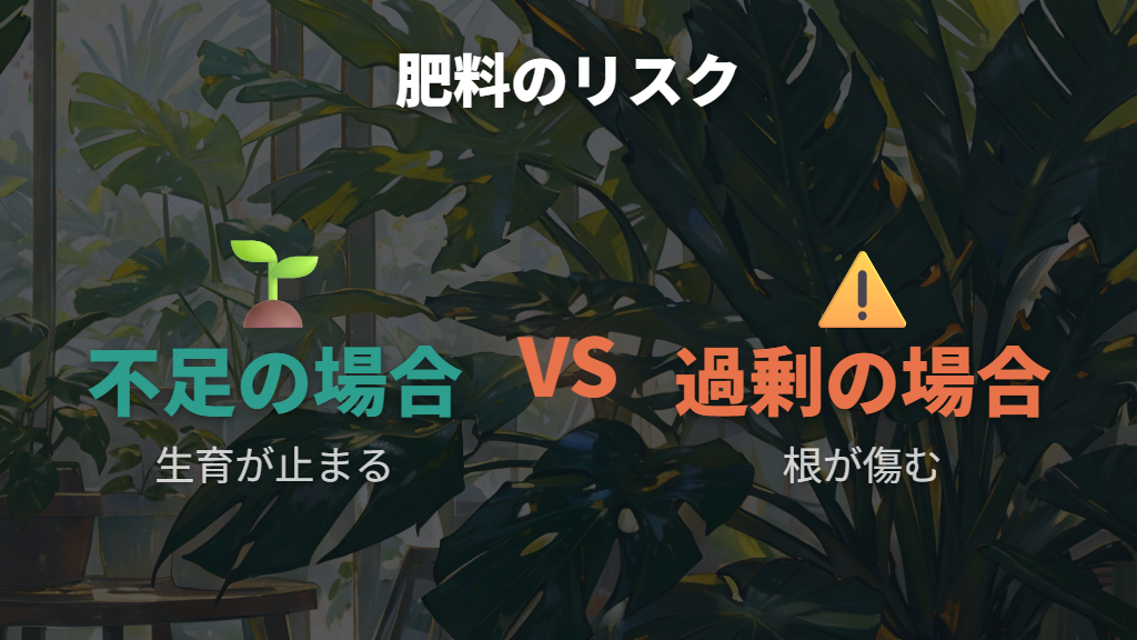 肥料不足と過剰が招くモンステラの新芽が出ないリスク