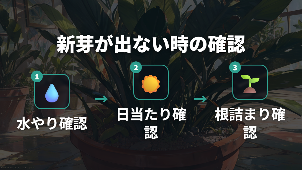 新芽が出ない場合の環境チェックと肥料の扱い