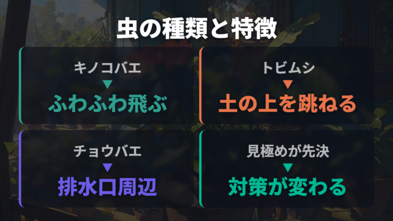 発生虫の正体見極めとガジュマル挿し木時の清潔維持