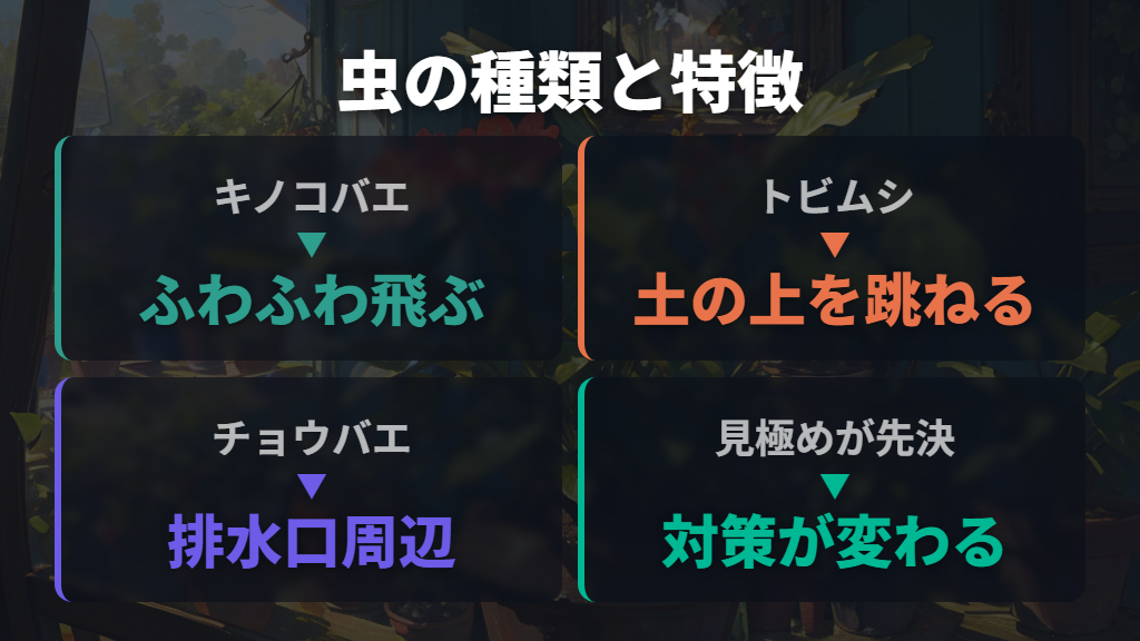 発生虫の正体見極めとガジュマル挿し木時の清潔維持